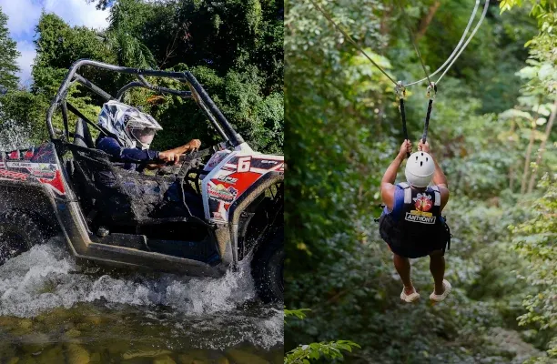 Buggy or Zipline